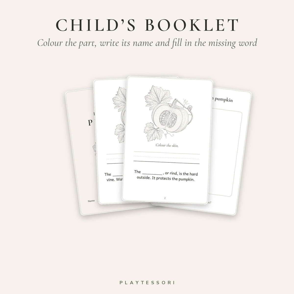 Parts of a Pumpkin – Montessori 3-Part Booklet & Cards Printable