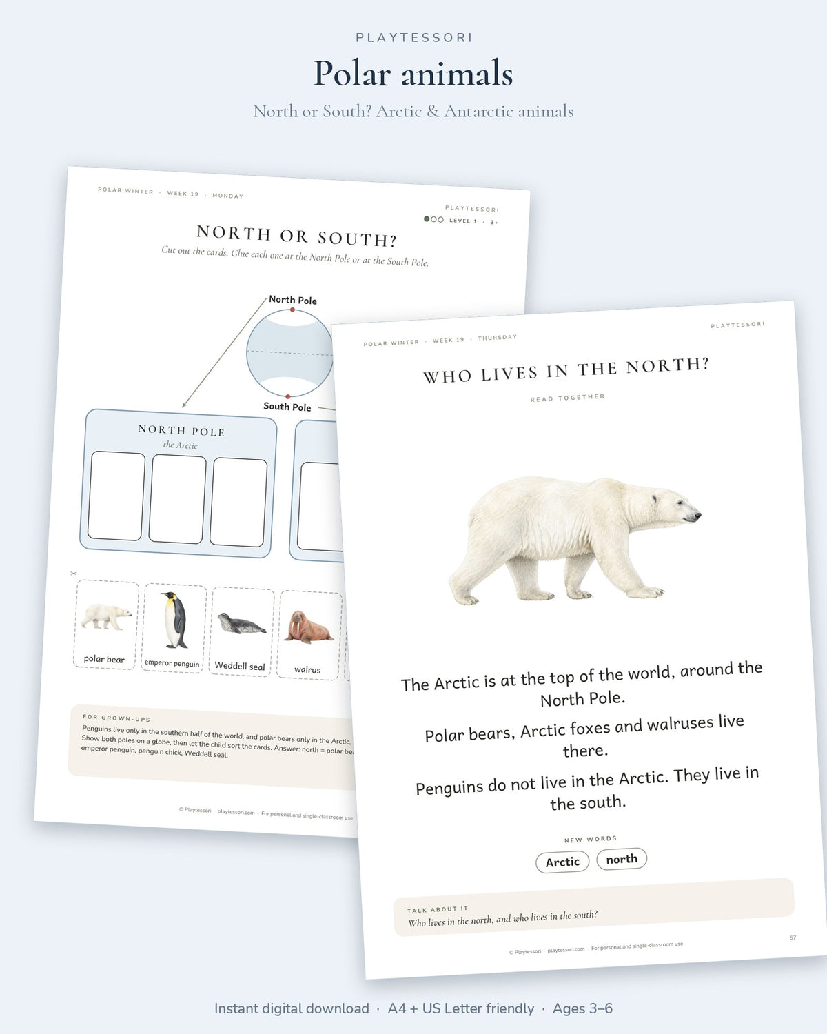 North or South pole sorting mat and the who lives in the North reading page with a polar bear