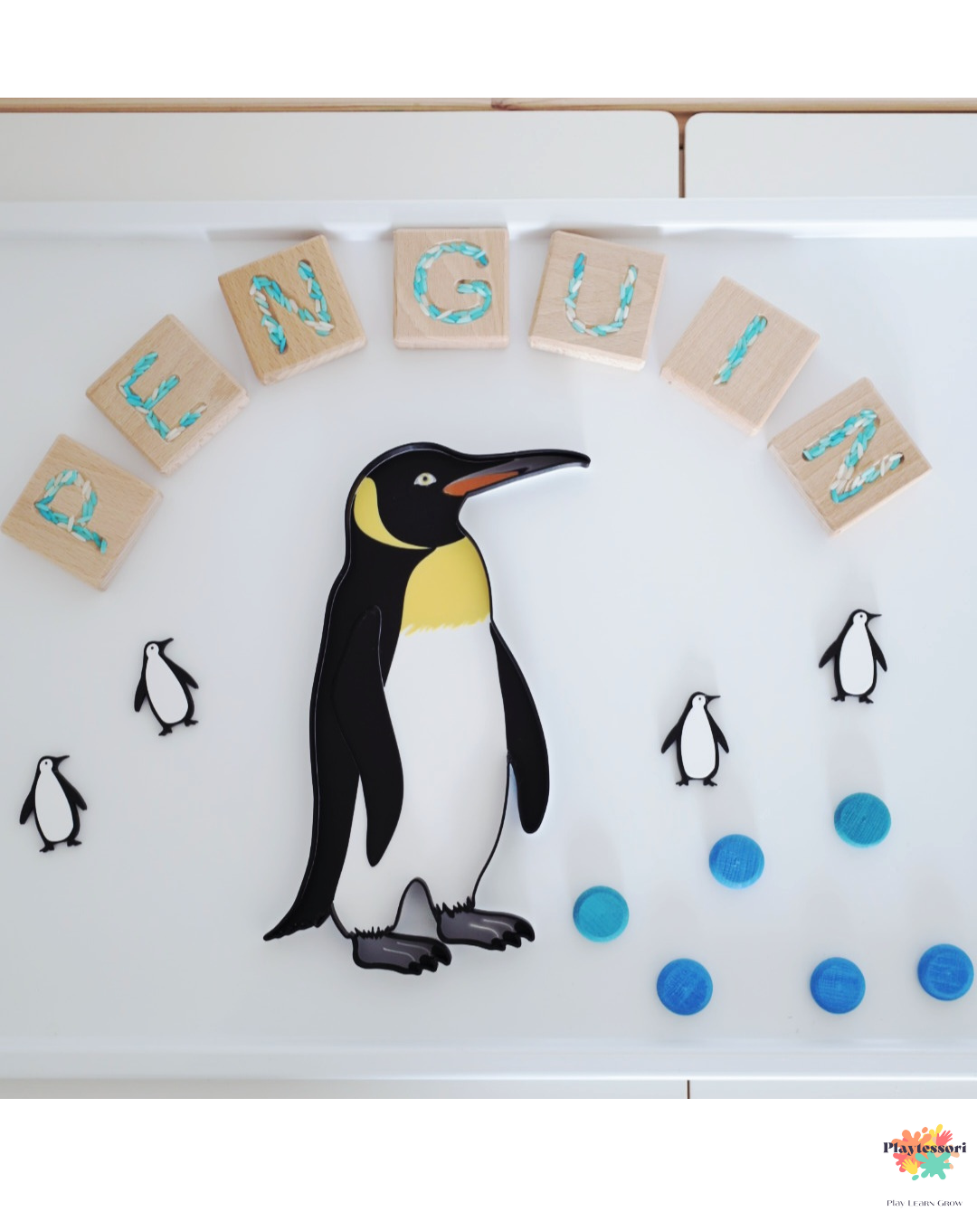 Penguin Sensory Tray