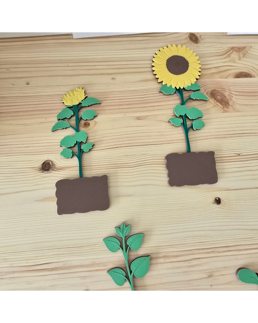 Sunflower Life Cycle 3D Set | Montessori Nature Toy