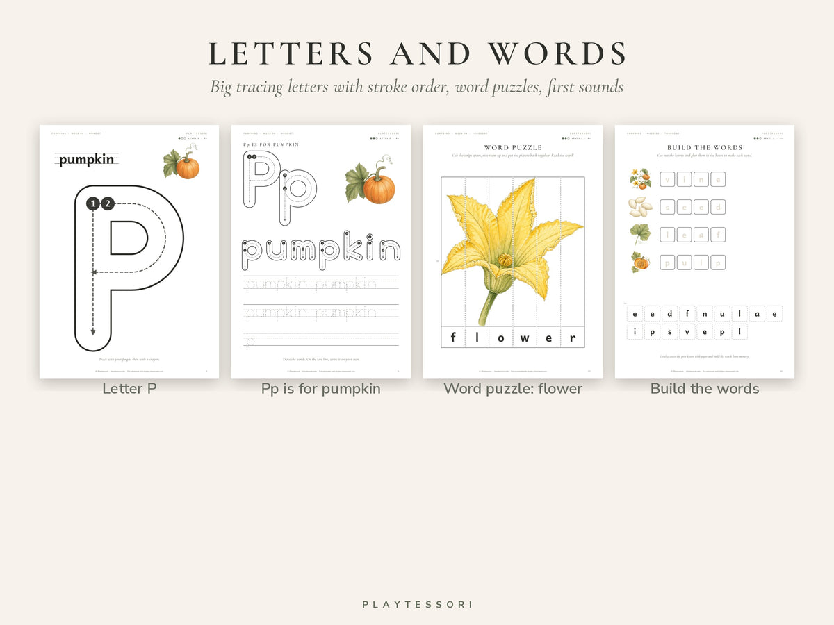 Pumpkin Learning Pack – 80-Page Montessori Printable Unit Study (Ages 3–6)