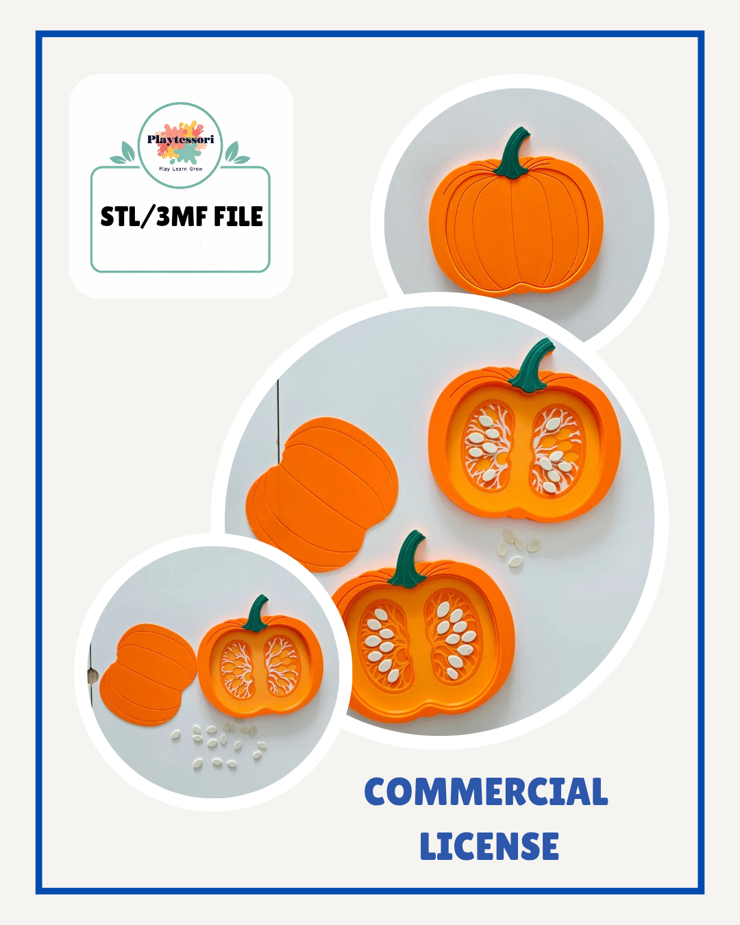 Pumpkin Cross Section Sensory Tray STL