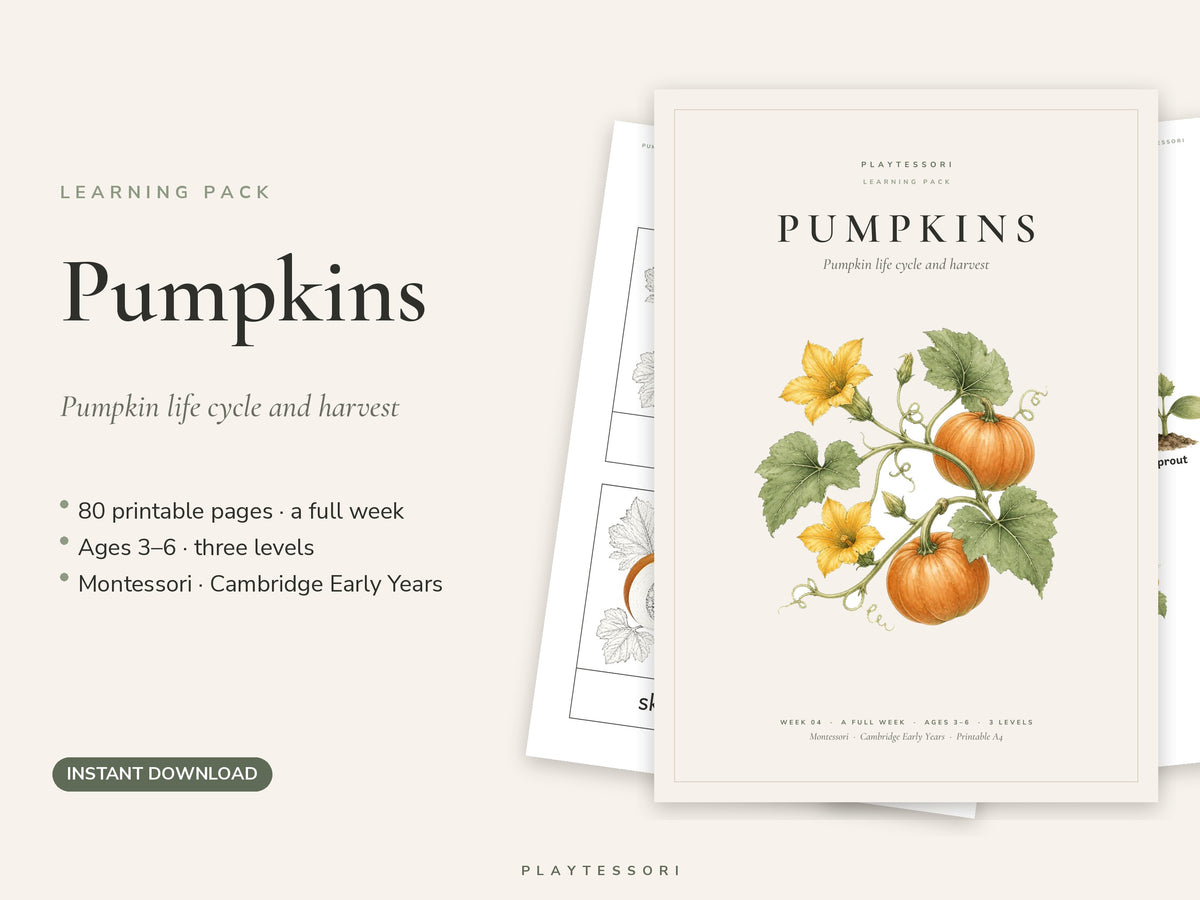 Pumpkin Learning Pack – 80-Page Montessori Printable Unit Study (Ages 3–6)