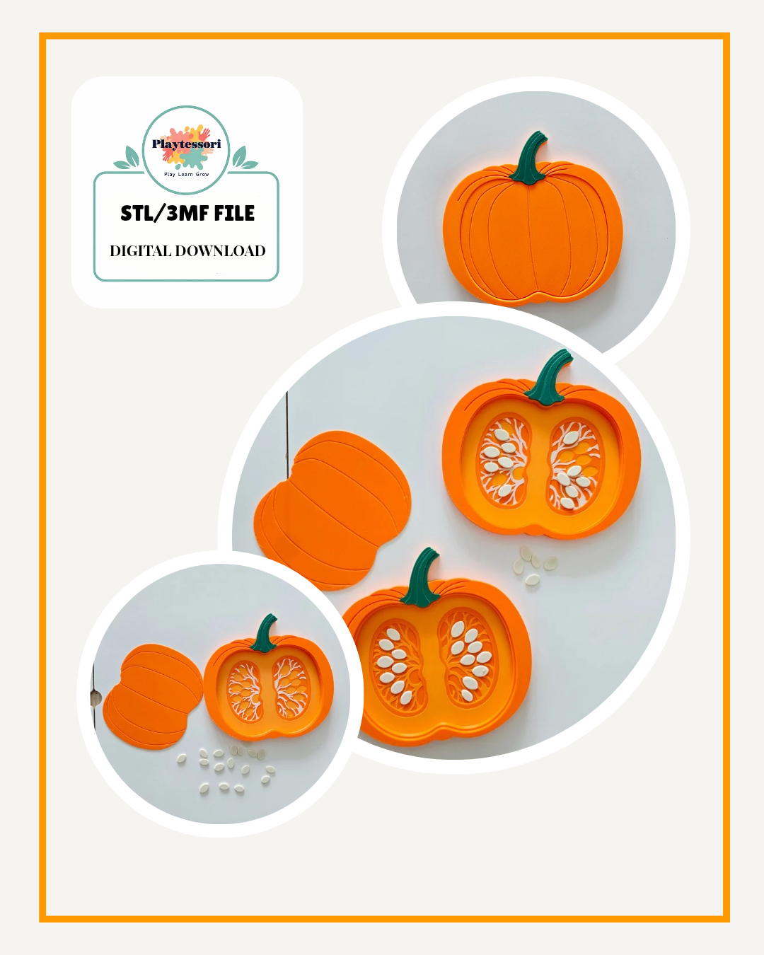 Pumpkin Cross Section Sensory Tray STL
