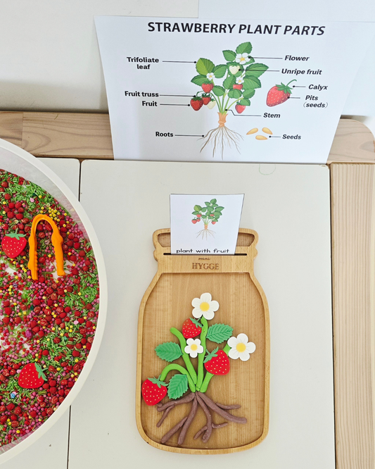 Strawberry Sensory Bin: Learning Through Play, Montessori-Style