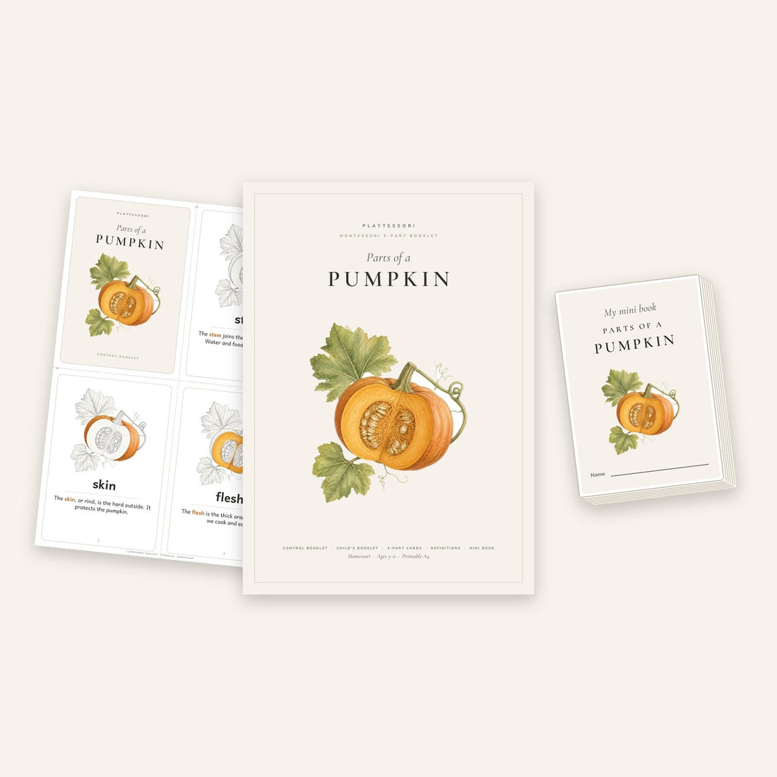 Parts of a Pumpkin: A Montessori 3-Part Booklet and a Fold-Up Mini Book