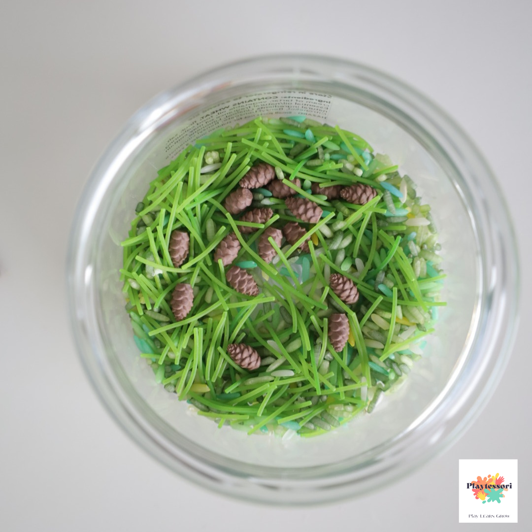 Green forest-themed sensory filler made of dyed rice, grass-like pasta pieces, and small pinecone counters inside a glass jar