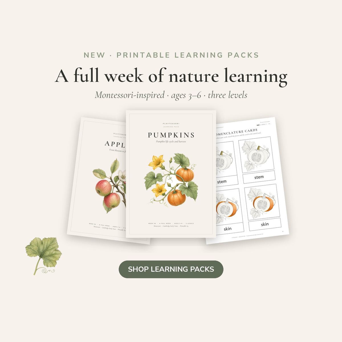Learning Resources