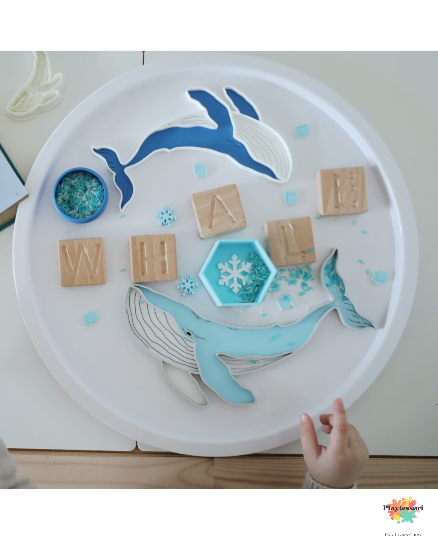 Ocean and Beach Collection