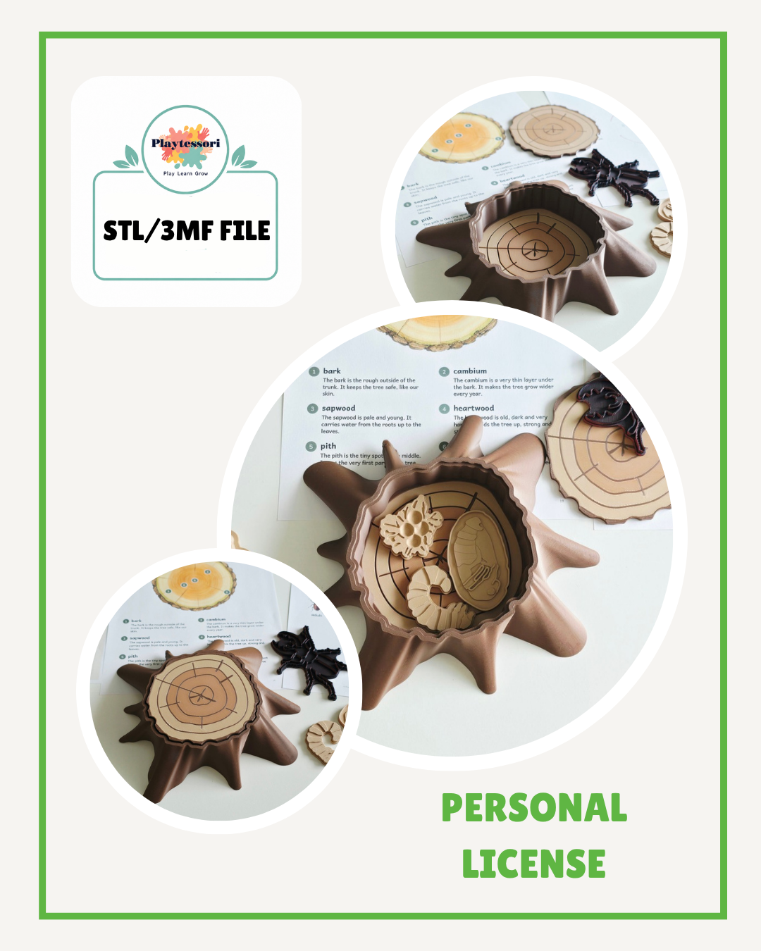 Tree Stump & Stag Beetle STL, Personal License