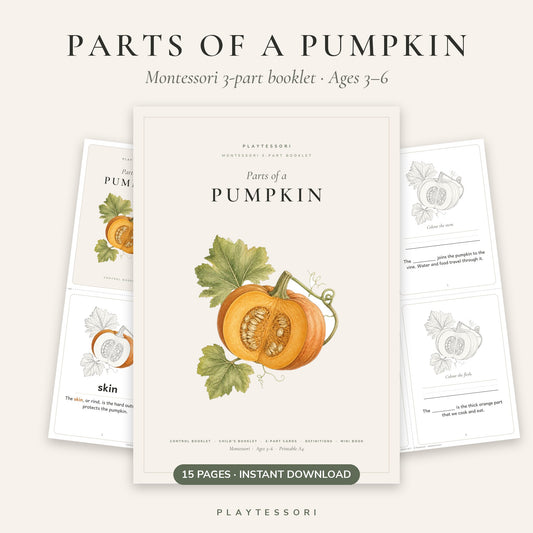 Parts of a Pumpkin – Montessori 3-Part Booklet & Cards Printable