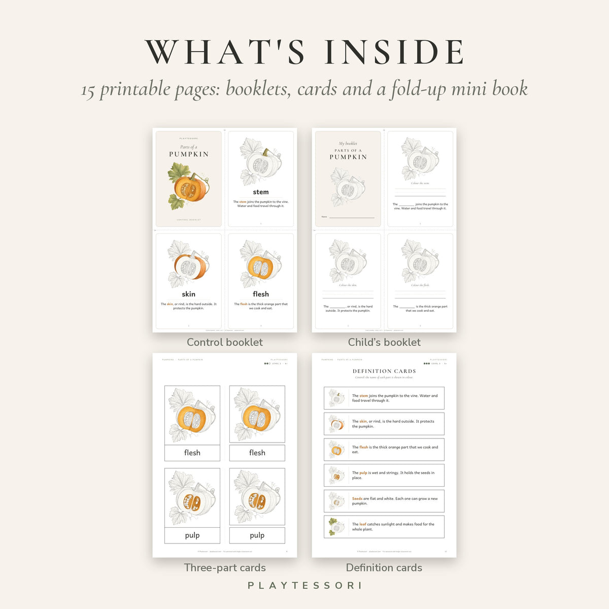Parts of a Pumpkin – Montessori 3-Part Booklet & Cards Printable