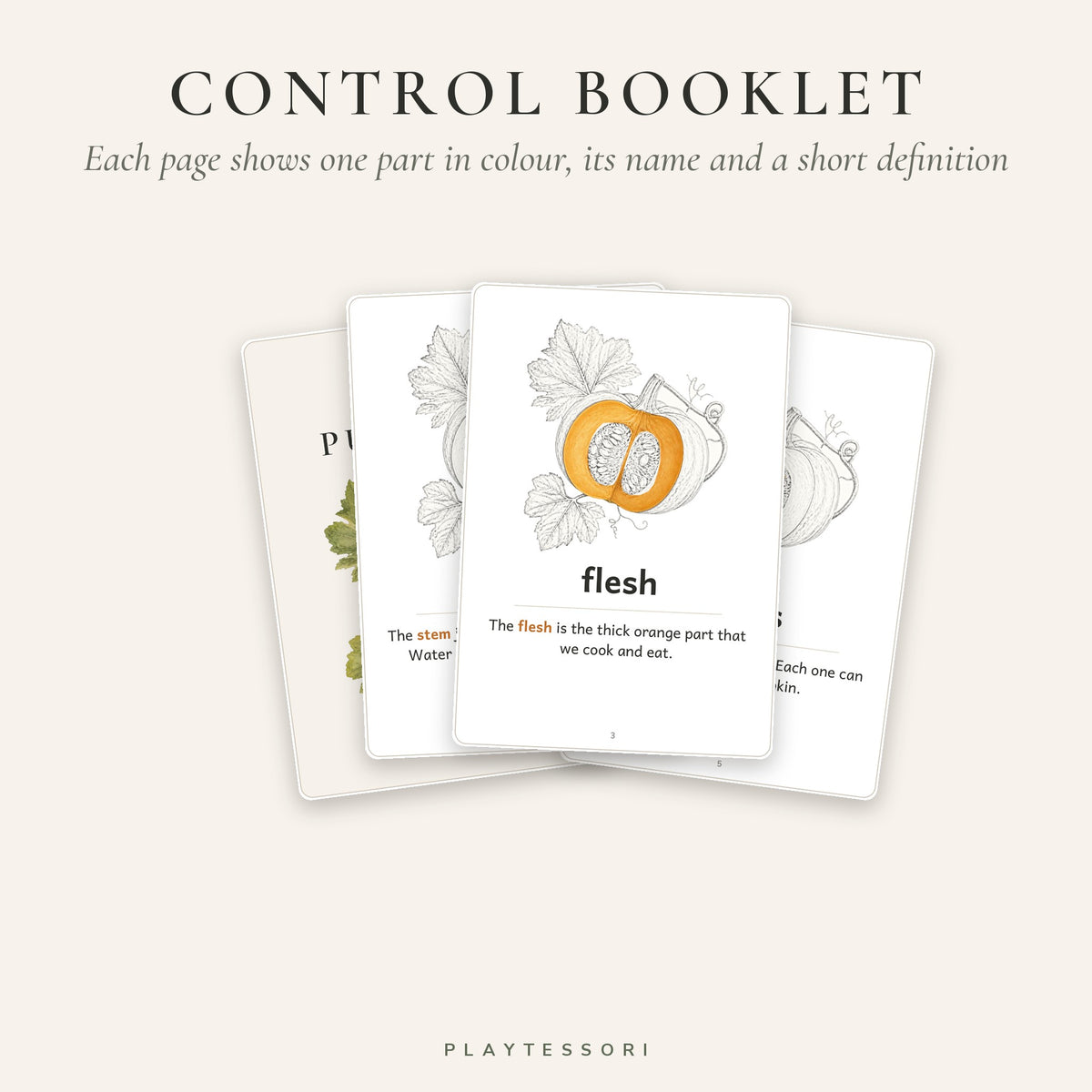 Parts of a Pumpkin – Montessori 3-Part Booklet & Cards Printable
