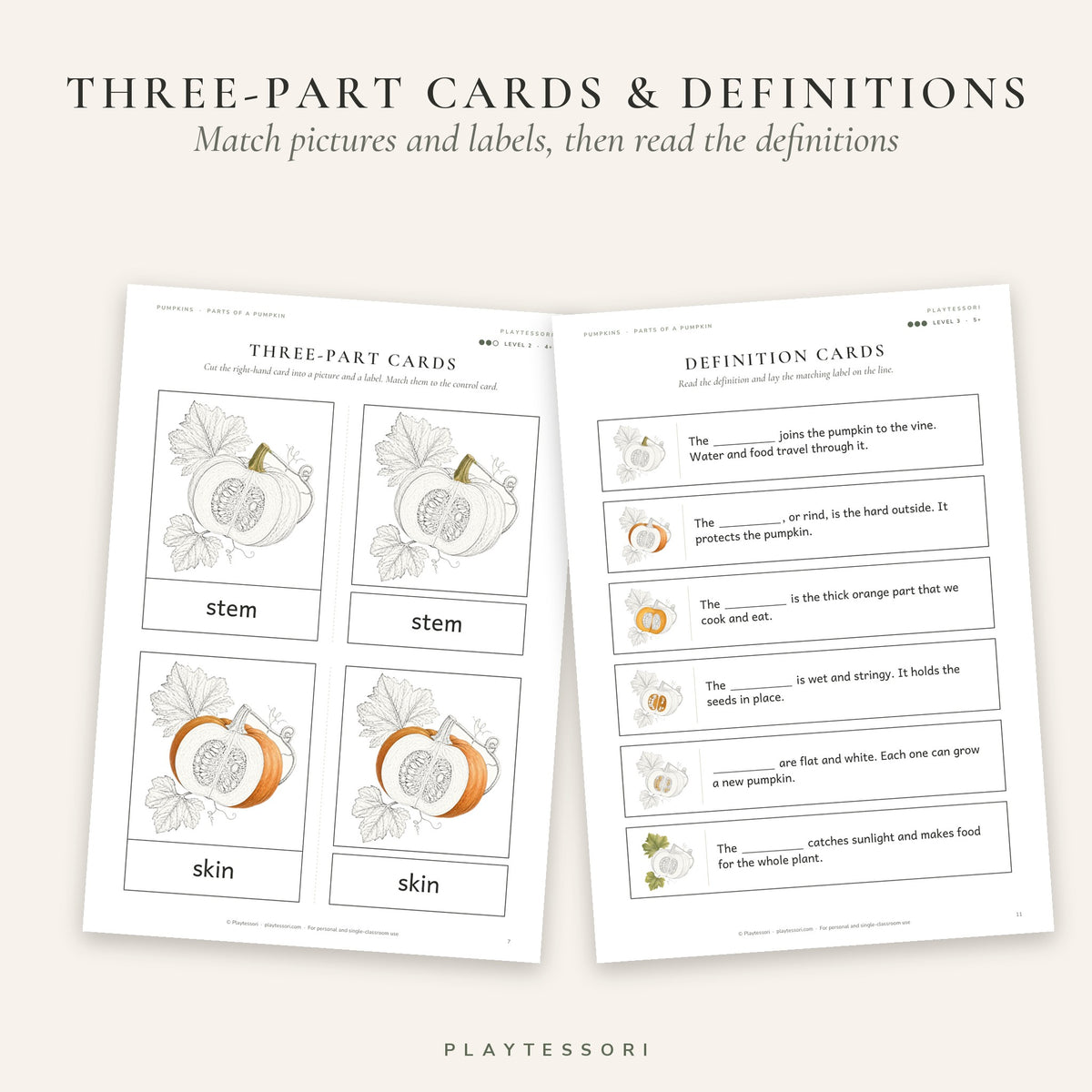 Parts of a Pumpkin – Montessori 3-Part Booklet & Cards Printable