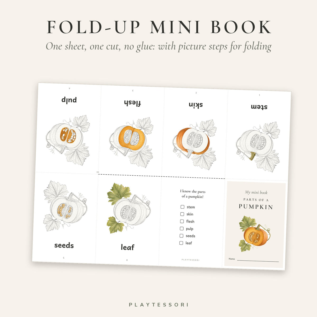 Parts of a Pumpkin – Montessori 3-Part Booklet & Cards Printable
