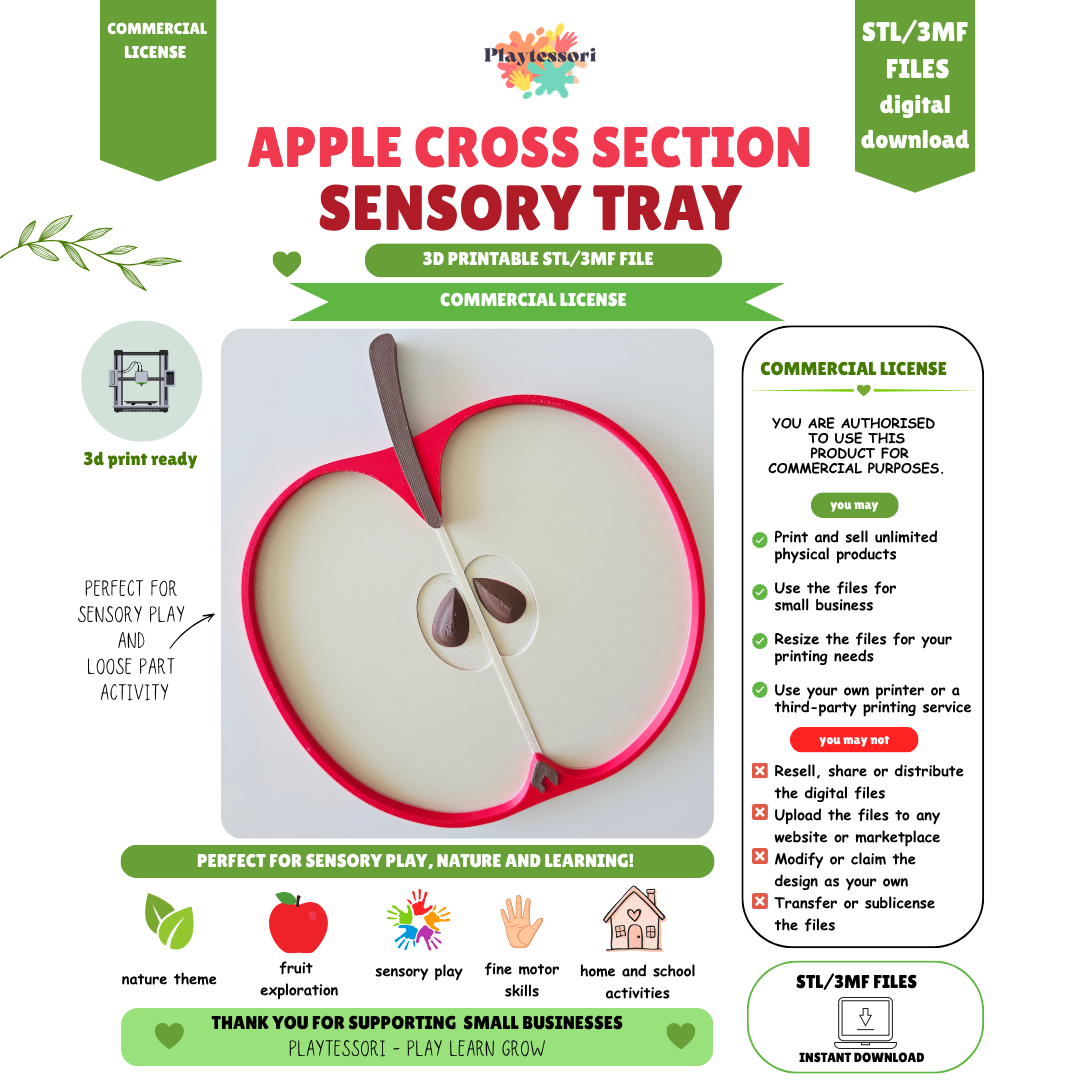 Apple cross section STL file with commercial license, close-up of core, seeds and stem detail
