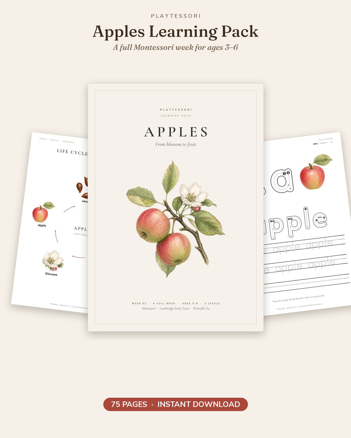Apples Learning Pack cover with watercolour apples on a branch, 75 printable pages for ages 3 to 6