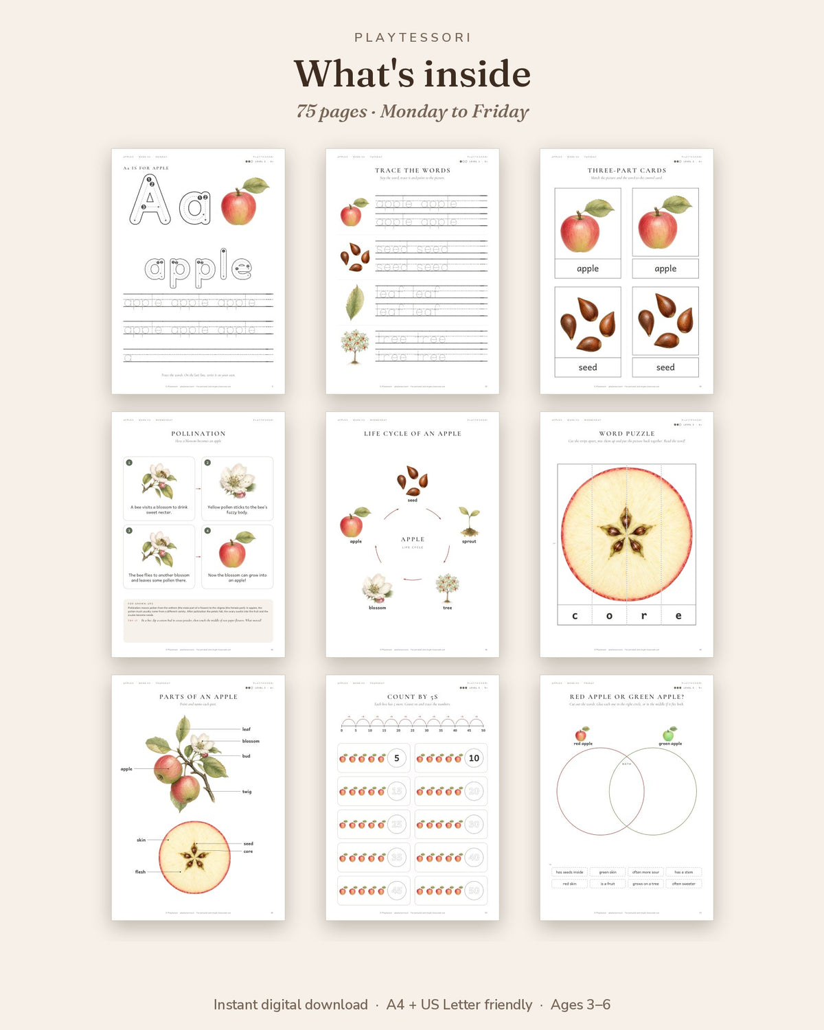 Overview of pages inside the apples pack: tracing letters, three-part cards, pollination, life cycle, word puzzle and counting