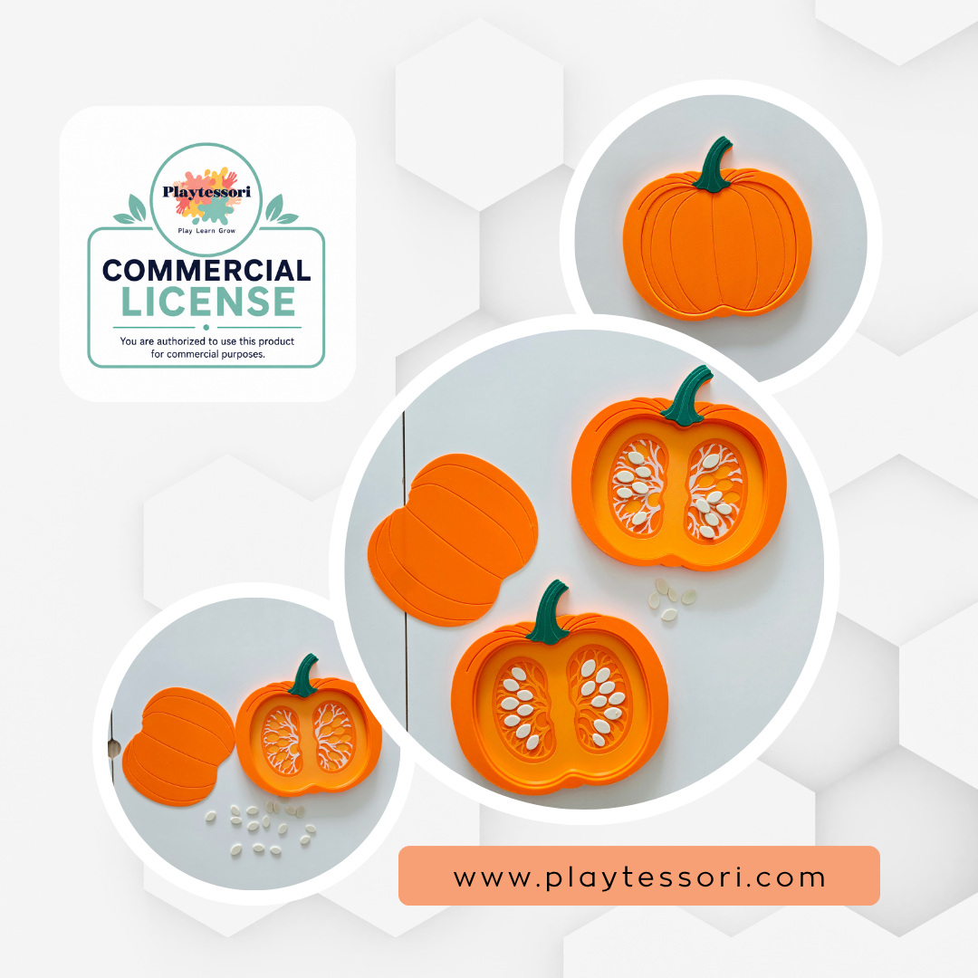 Pumpkin cross section sensory tray STL file, lid and removable seeds, Montessori anatomy toy