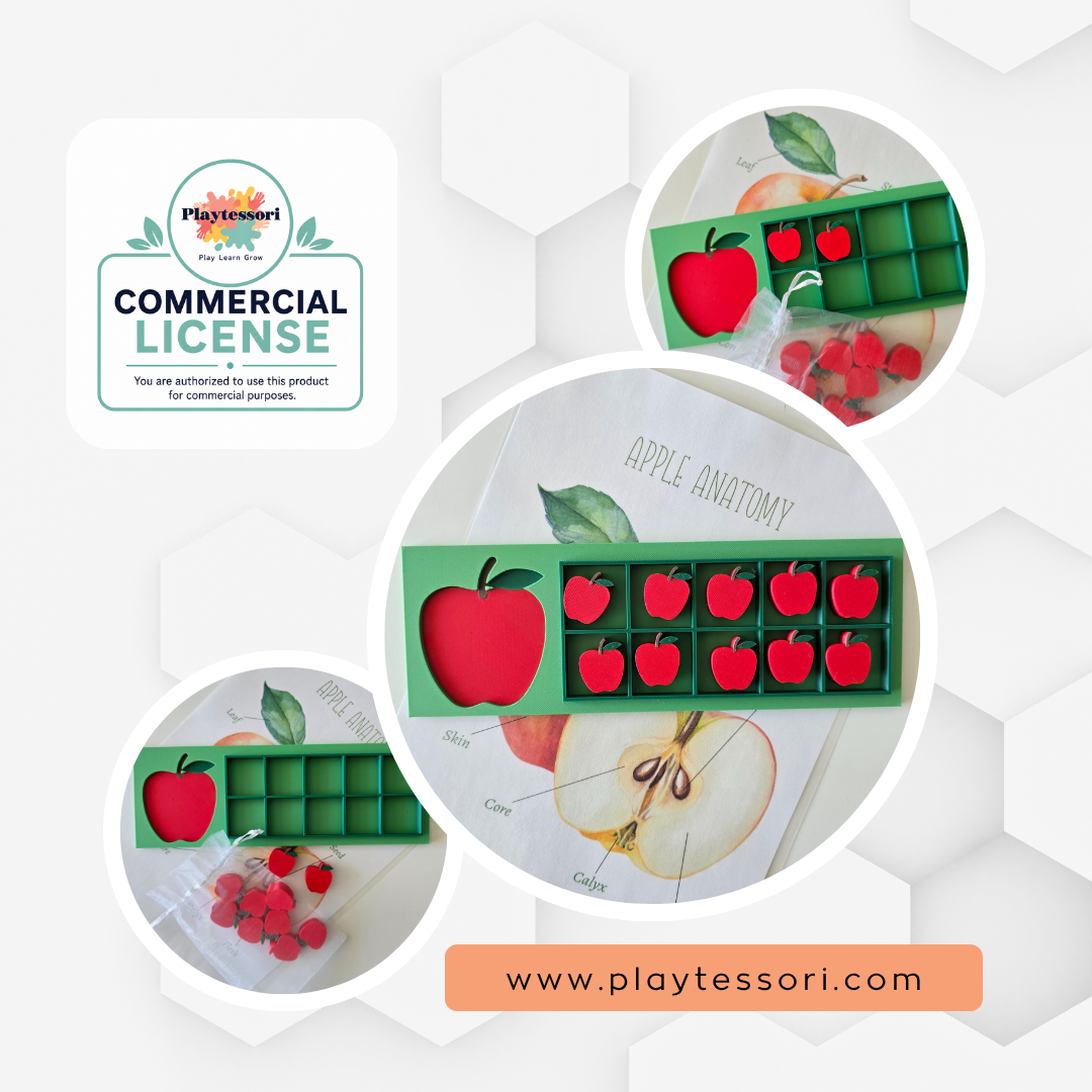 Apple ten frame counting tray STL 3MF file with commercial license, Montessori math counting toy