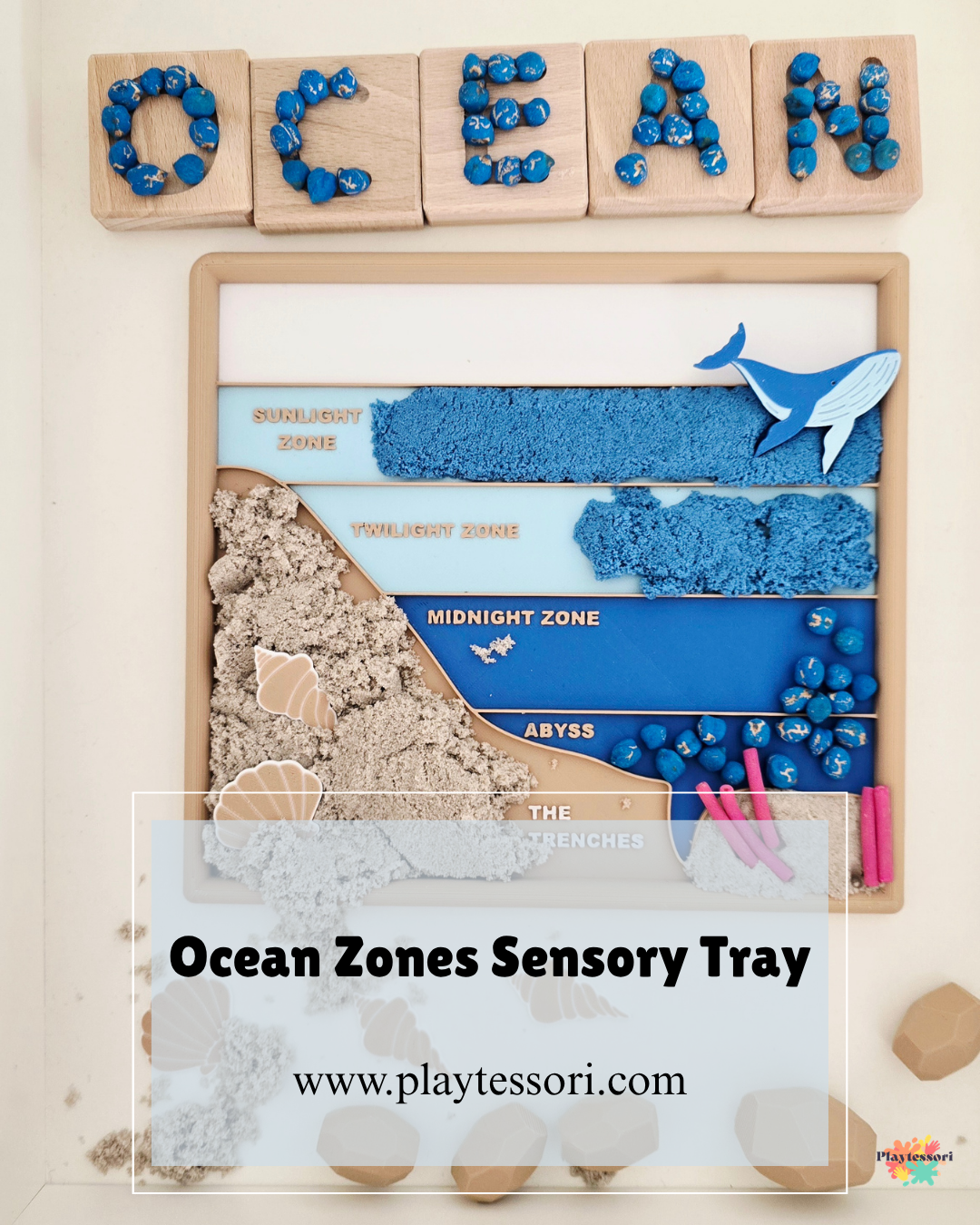 Ocean Zones Sensory Education Tray | Ocean Layers