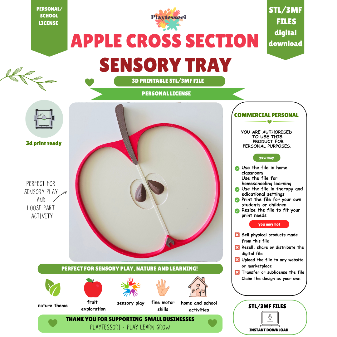 Apple Cross Section Sensory Tray STL – Playtessori