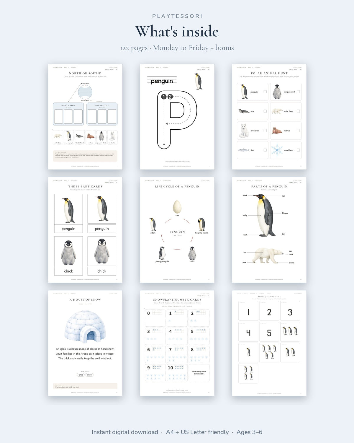 Overview of pages inside the polar pack: North or South sorting, tracing letters, three-part cards, penguin life cycle, parts of a penguin and bonus cards