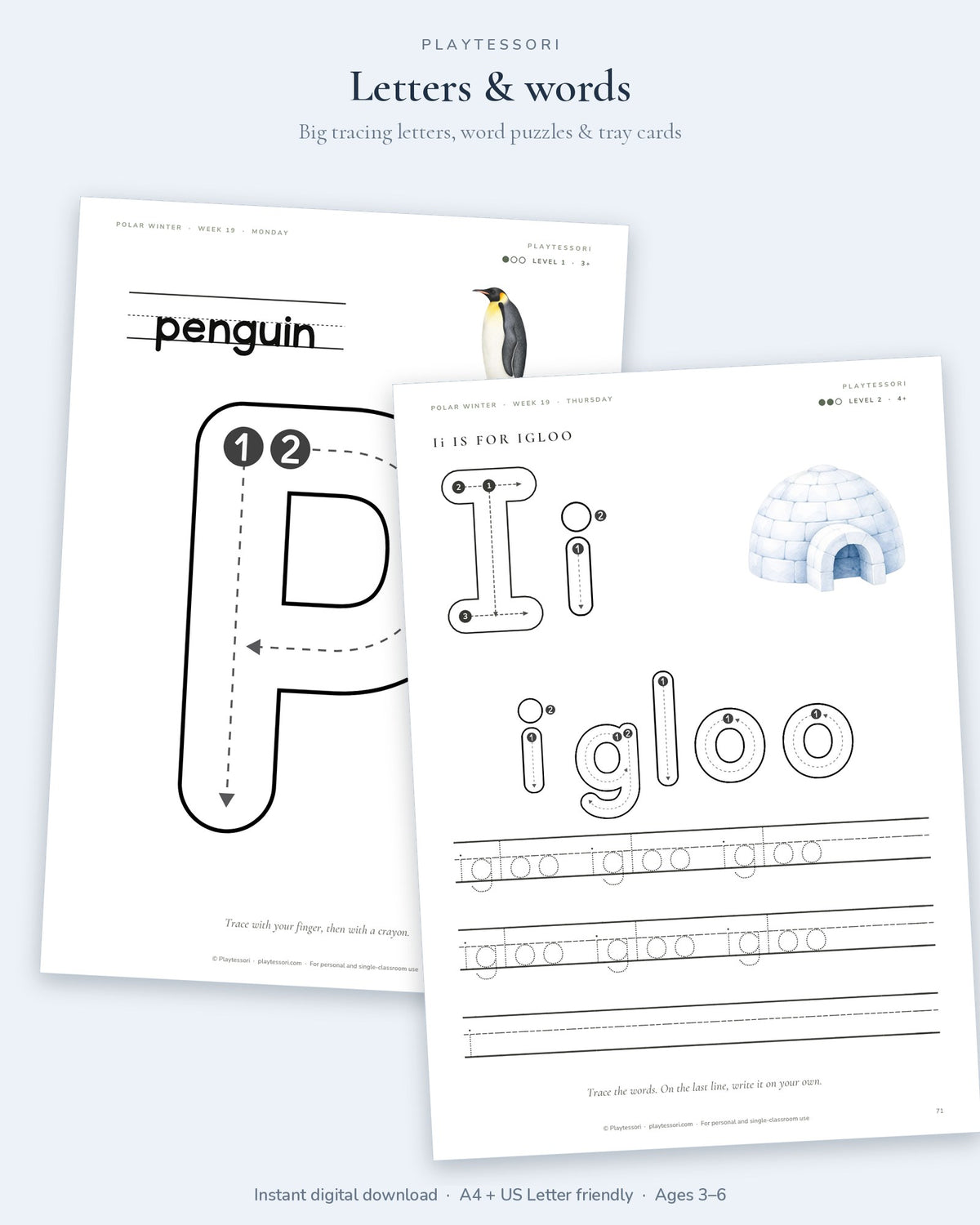 Big tracing letter P for penguin and Ii is for igloo word tracing page