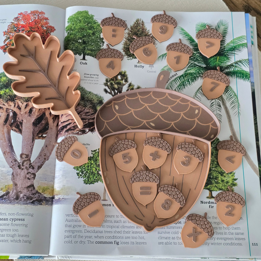 3D printed acorn tray and oak leaf tray in brown and beige on an open book about trees, surrounded by acorn counters with raised numbers and math symbols, with the equation 5 + 3 = 8 laid out inside the acorn tray.