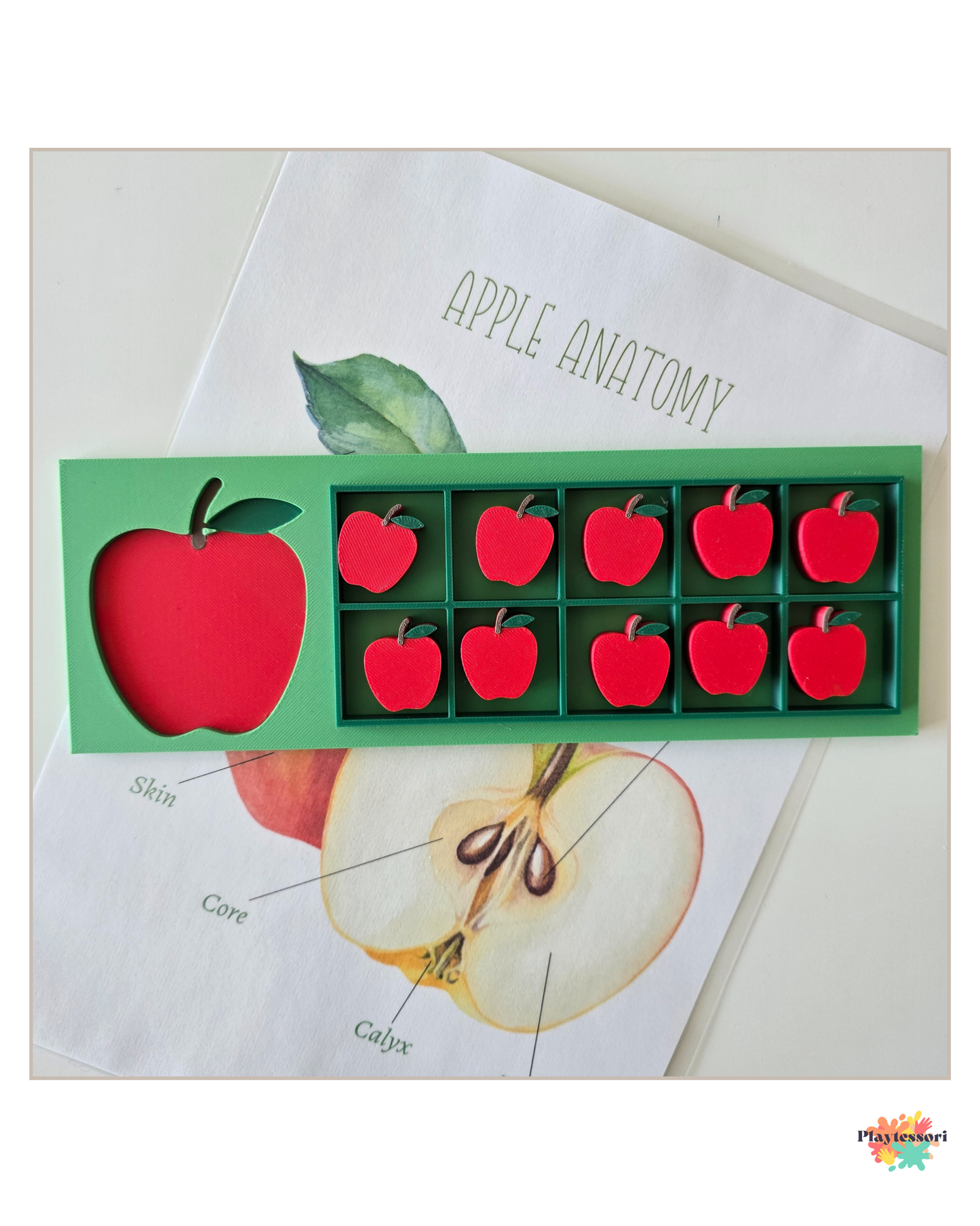 Close-up of apple 10-frame counting tray with apple counters and tracing apple shape, Montessori-inspired math and sensory play.