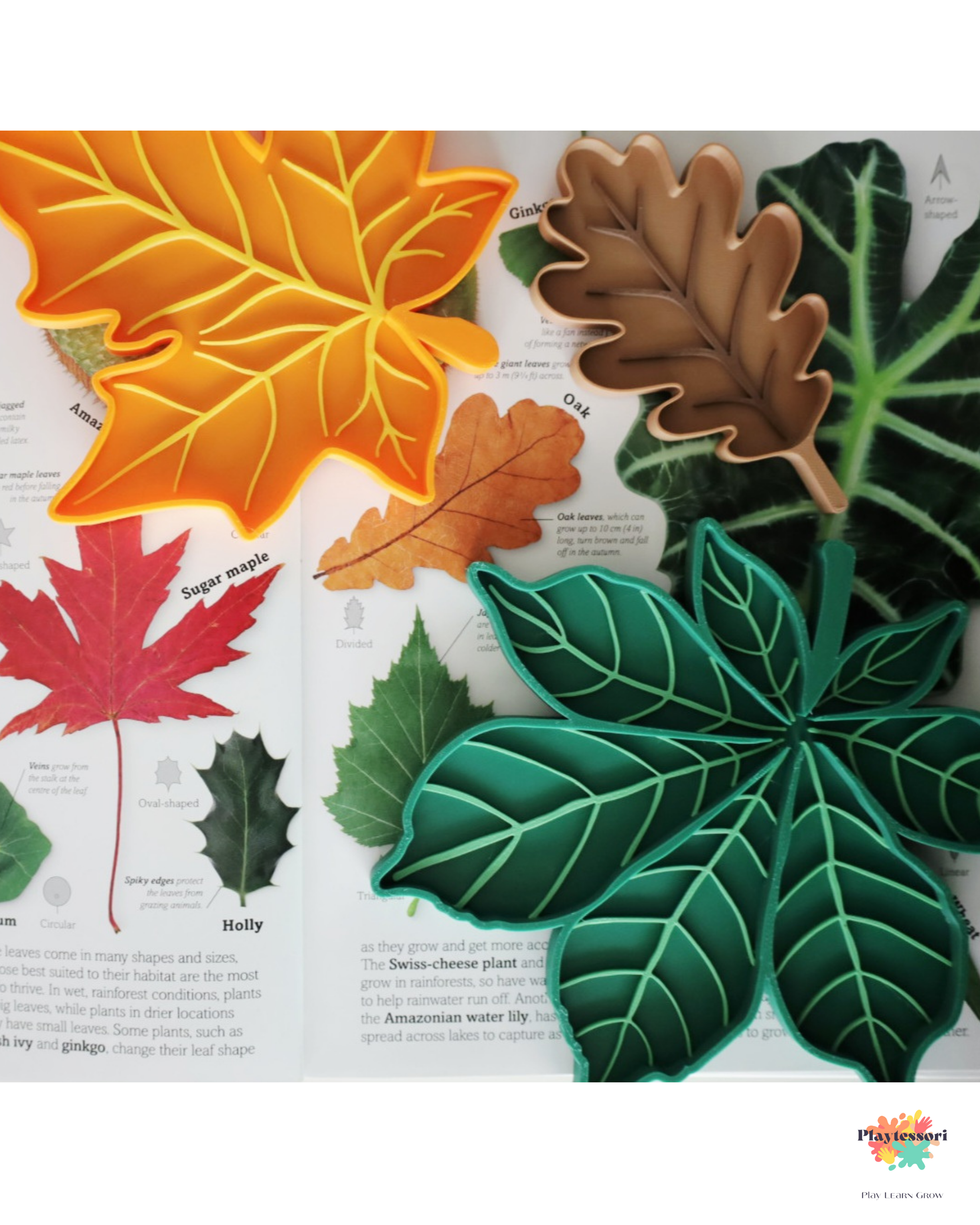 Autumn sensory play set featuring 3D-printed maple, oak, and chestnut leaf trays filled with natural materials like lentils and chestnuts on a wooden background