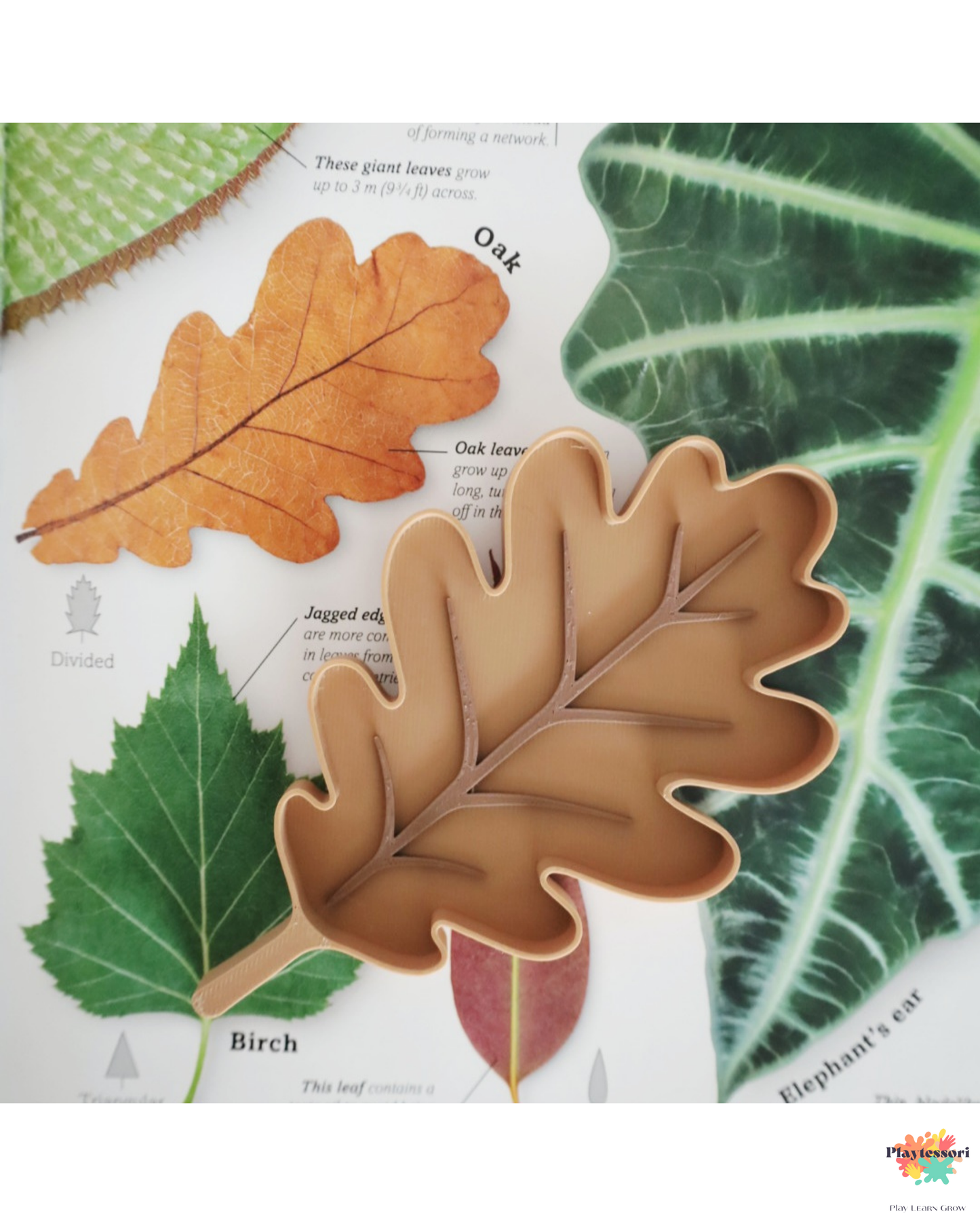 Top view of a nature-inspired sensory setup with three leaf-shaped trays in different autumn tones, displayed with seasonal loose parts for exploration