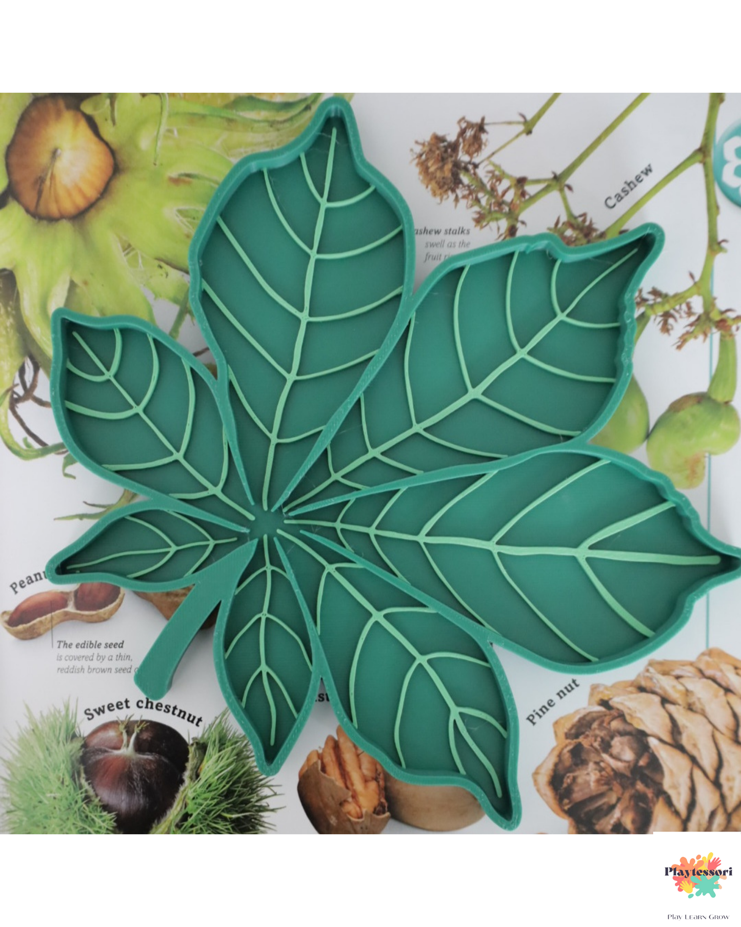 Child’s hands interacting with the chestnut leaf tray filled with small natural items, showcasing fine motor skill activity in an autumn-themed setting.
