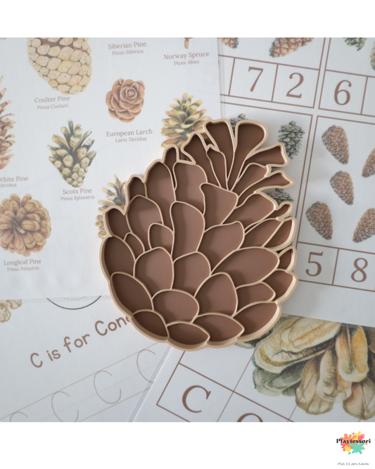 Pine cone-shaped sensory tray placed on educational nature-themed worksheets with pine illustrations.