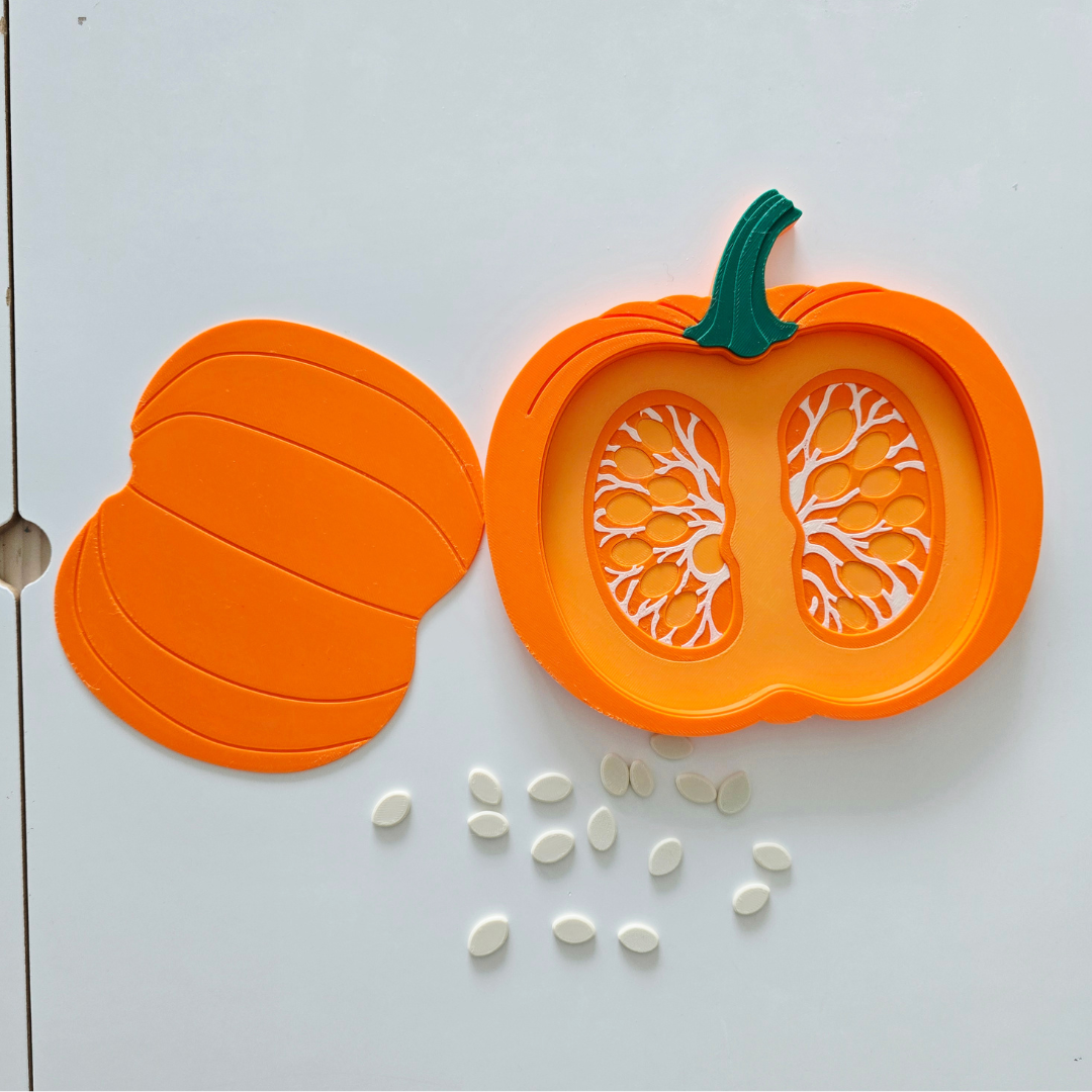 Pumpkin cross section sensory tray STL file, lid and removable seeds, Montessori anatomy toy