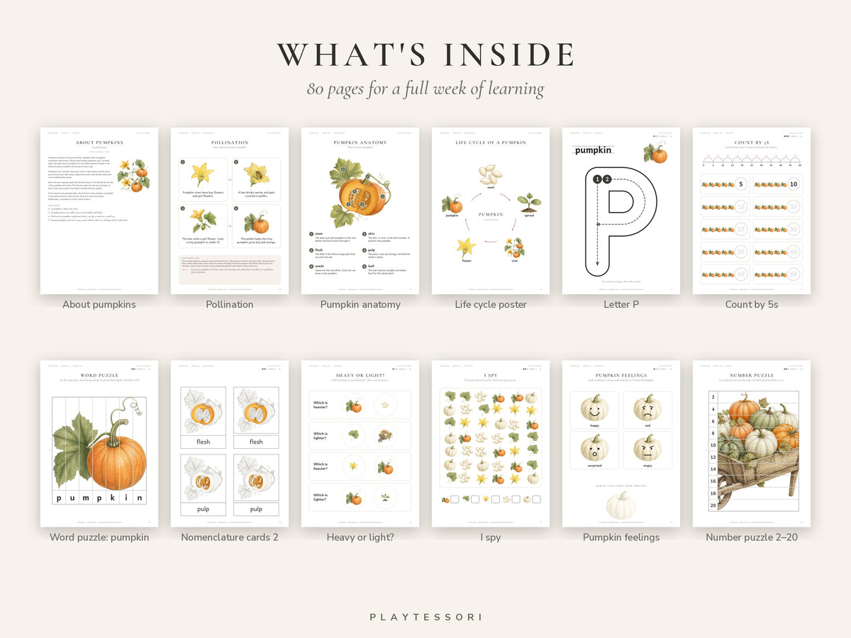 Pumpkin Learning Pack – 80-Page Montessori Printable Unit Study (Ages 3–6)