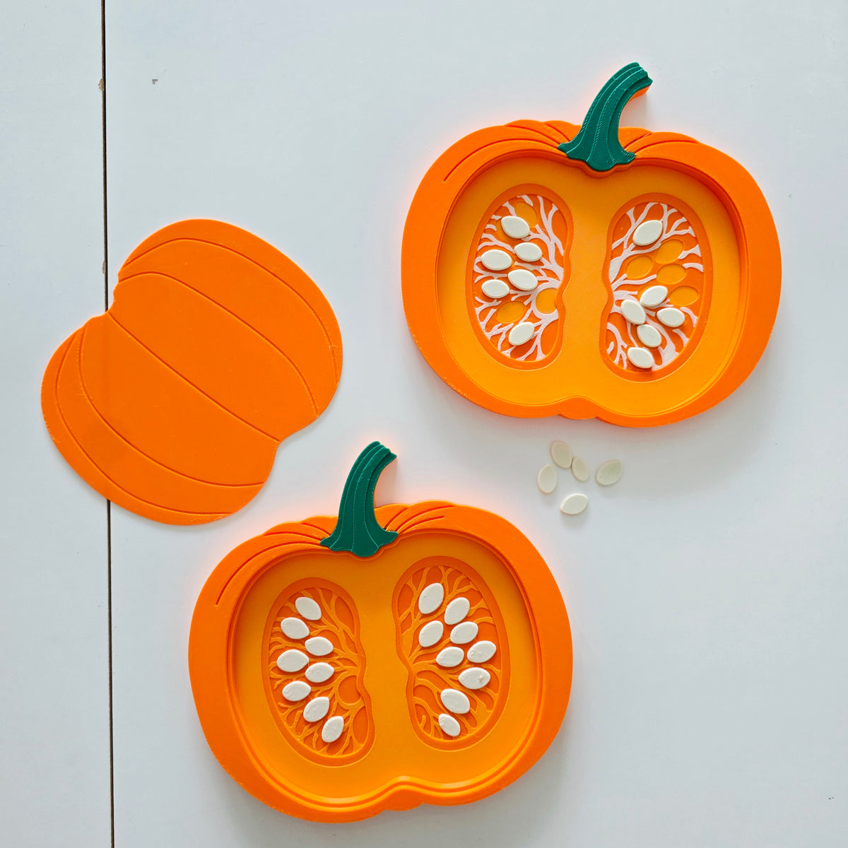 Pumpkin Anatomy Tray | Montessori Autumn Science Toy