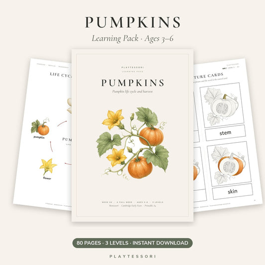 Pumpkin Learning Pack – 80-Page Montessori Printable Unit Study (Ages 3–6)