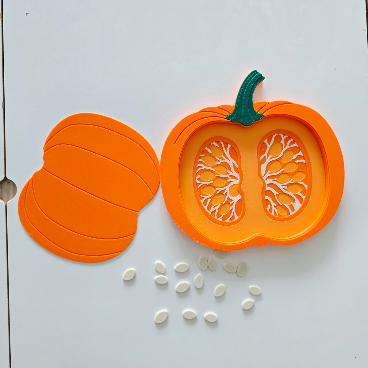 Pumpkin Anatomy Tray | Montessori Autumn Science Toy