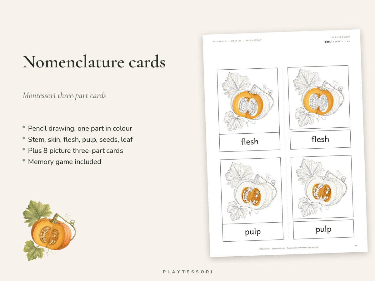 Pumpkin Learning Pack – 80-Page Montessori Printable Unit Study (Ages 3–6)