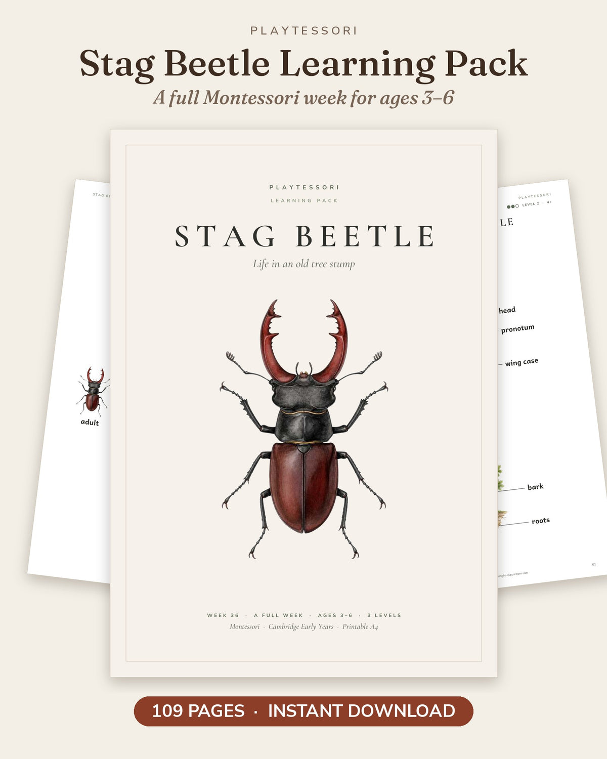 Stag Beetle Learning Pack cover with a watercolour stag beetle, 109 printable Montessori pages for ages 3 to 6