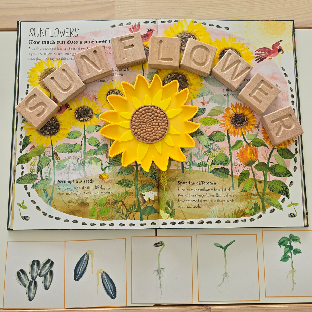 Sunflower sensory play tray laid on a book