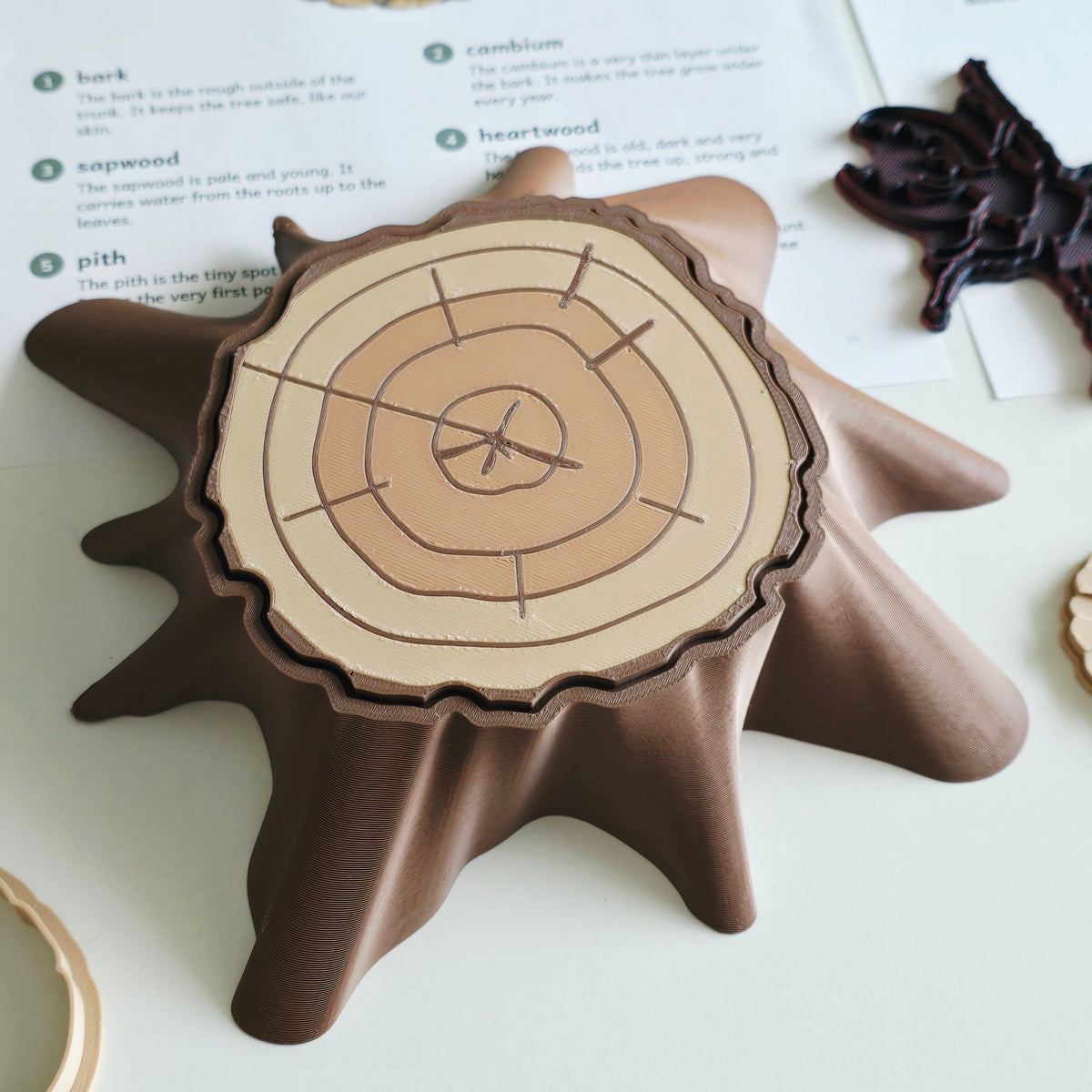 Tree-ring slice insert on the 3D printed stump tray